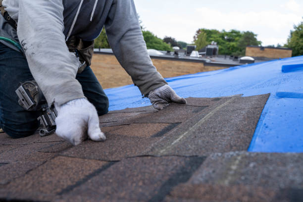 Best Roof Maintenance Services  in Mount Hope, WV